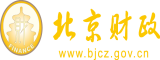 插比激情网址北京市财政局