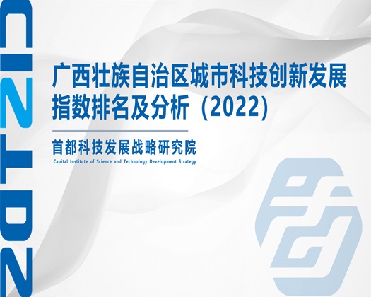 公开大骚逼国产【成果发布】广西壮族自治区城市科技创新发展指数排名及分析（2022）